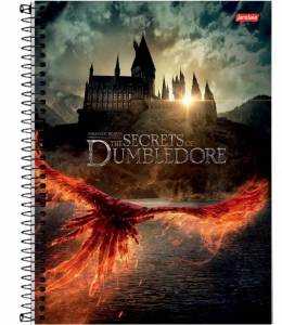 Caderno Universitário Capa Dura 10 Matérias 160 Folhas Animais Fantásticos Jandaia