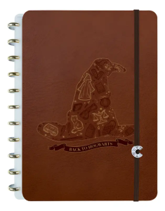 Caderno Inteligente 80 Folhas Harry Potter Chapéu Seletor