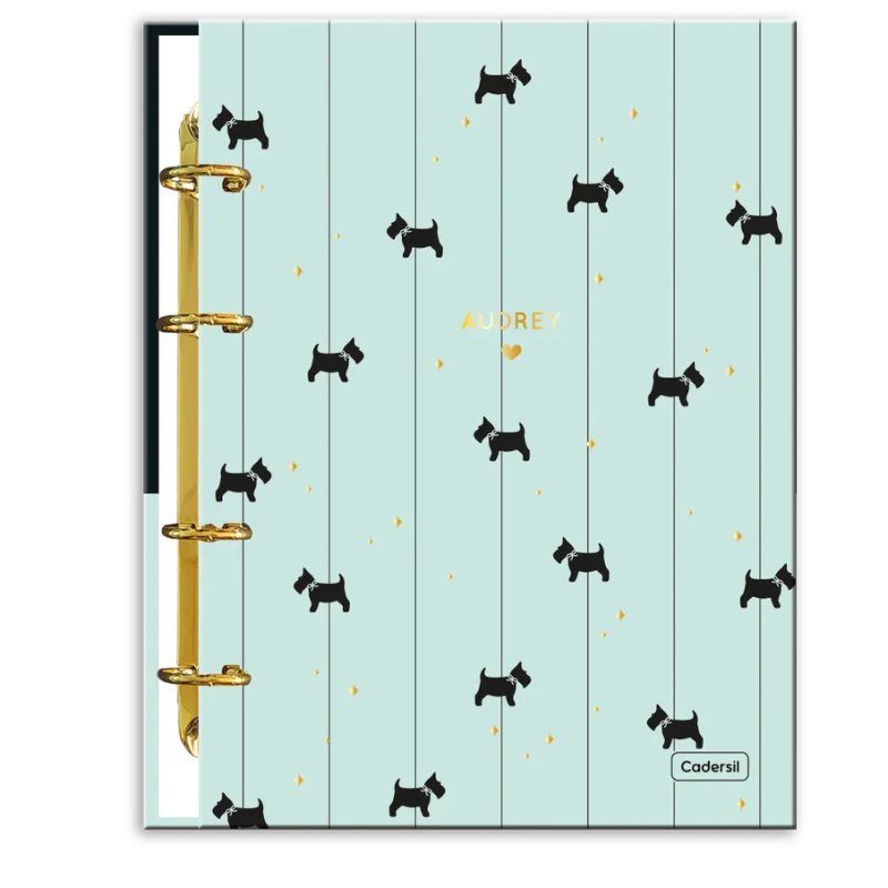 Caderno Colegial Argolado Audrey Cartonado Cadersil Sortido